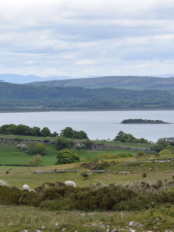 Morecambe Bay seen from Birkrigg Common near Ulverston